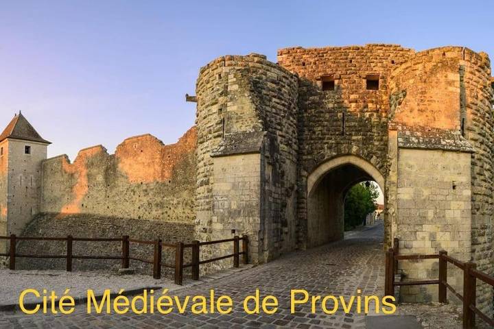 Location de vacances pour 4 personnes, avec jardin et piscine à Bois-le-Roi - 3