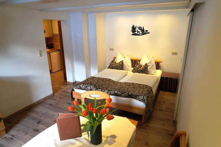 Ferienwohnung für 2 Personen, mit Balkon und Terrasse sowie Garten und Sauna in Mölltaler Gletscher - 4