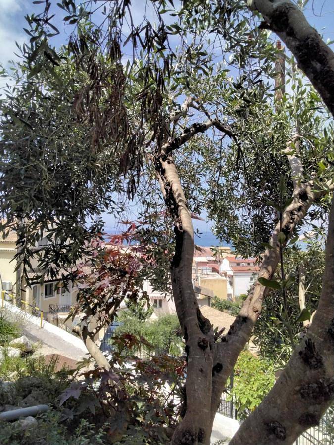 Two-Bedroom House in Agios Gordios, Corfu