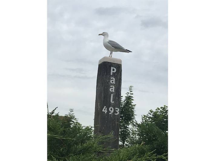 Ferienpark für 6 Personen, mit Terrasse auf Texel - 4