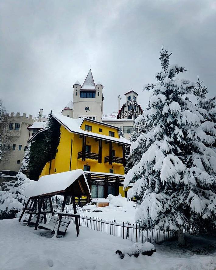 Gîte pour 3 personnes, avec balcon et jardin, animaux acceptés dans Poiana Brasov - Brasov