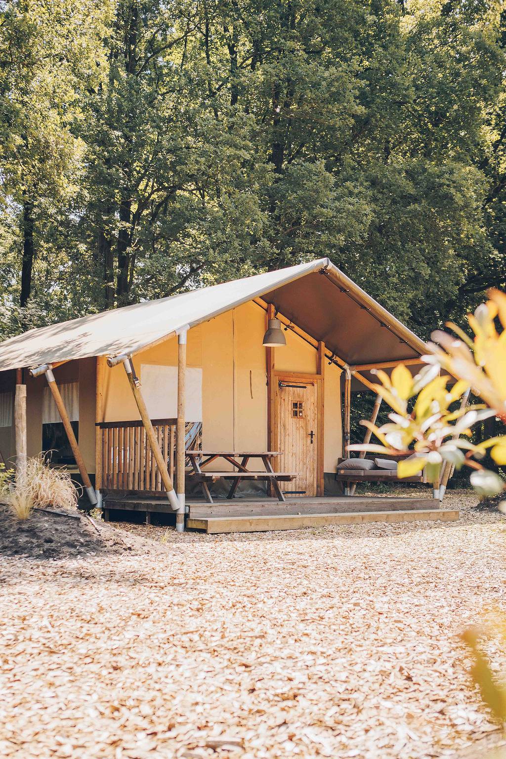 Camping voor 6 Personen in Nationaal Park Veluwezoom, Gelderland
