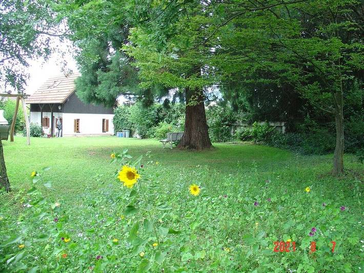 Ferienhaus für 4 Personen, mit Garten in Edenkoben - 3