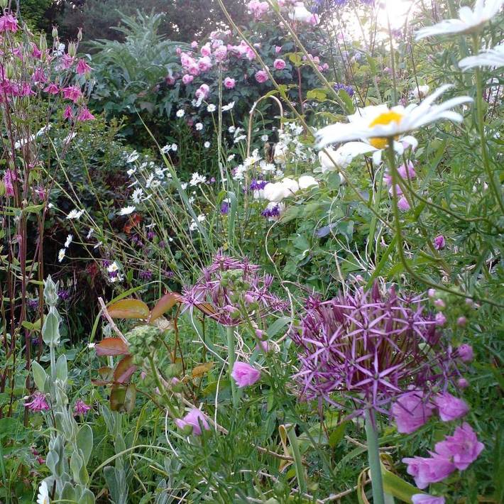 Location de vacances pour 2 personnes, avec jardin ainsi que terrasse et vue à Clonakilty - 2