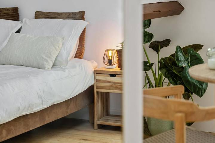 Chambre d’hôte pour 2 personnes, animaux acceptés à Rotterdam - 3