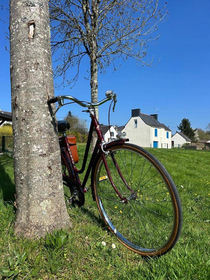 Location de vacances pour 8 personnes, avec Terrasse et Jardin à Fégréac