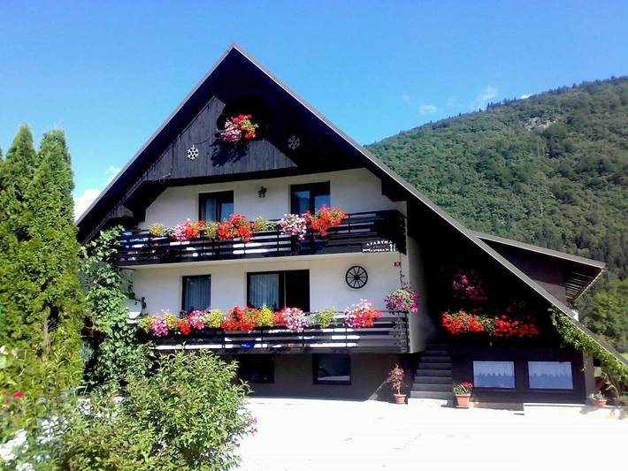 Gîte pour 9 personnes, avec vue et jardin, animaux acceptés dans Bohinjska Bistrica - 2
