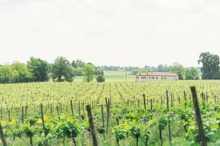 Chambre d’hôte pour 2 personnes, avec vue et jardin, animaux acceptés à Passirano
