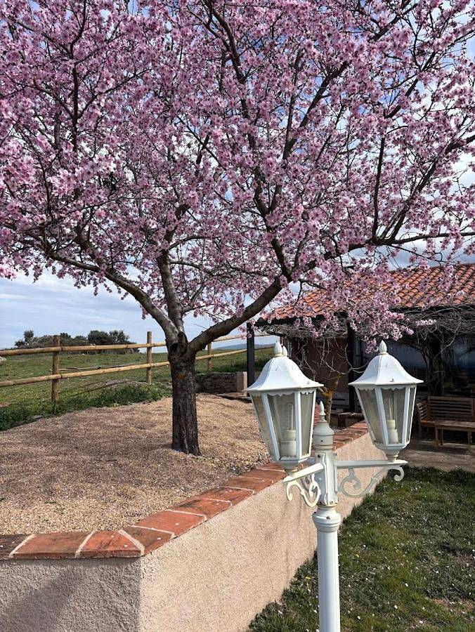 Casa rural para 12 personas, con jardín además de jacuzzi y piscina, Familias con niños en Comarca de Ciudad Rodrigo - 2