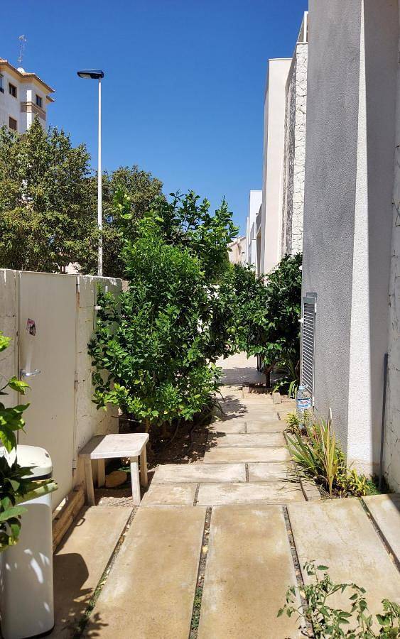 Villa pour 6 personnes, avec terrasse ainsi que vue et piscine, animaux acceptés à Guardamar del Segura - 4