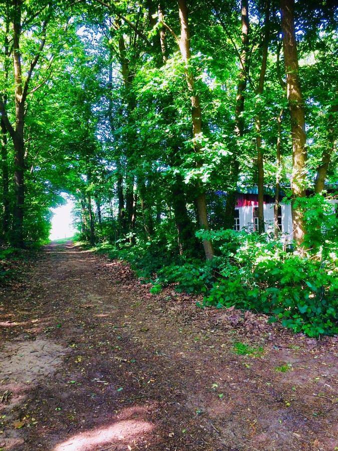 Holiday Home in Beesel, Limburg
