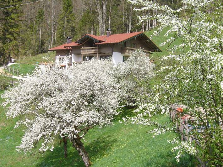 Ferienwohnung für 4 Personen, mit Terrasse und Garten in Schneizlreuth - 2