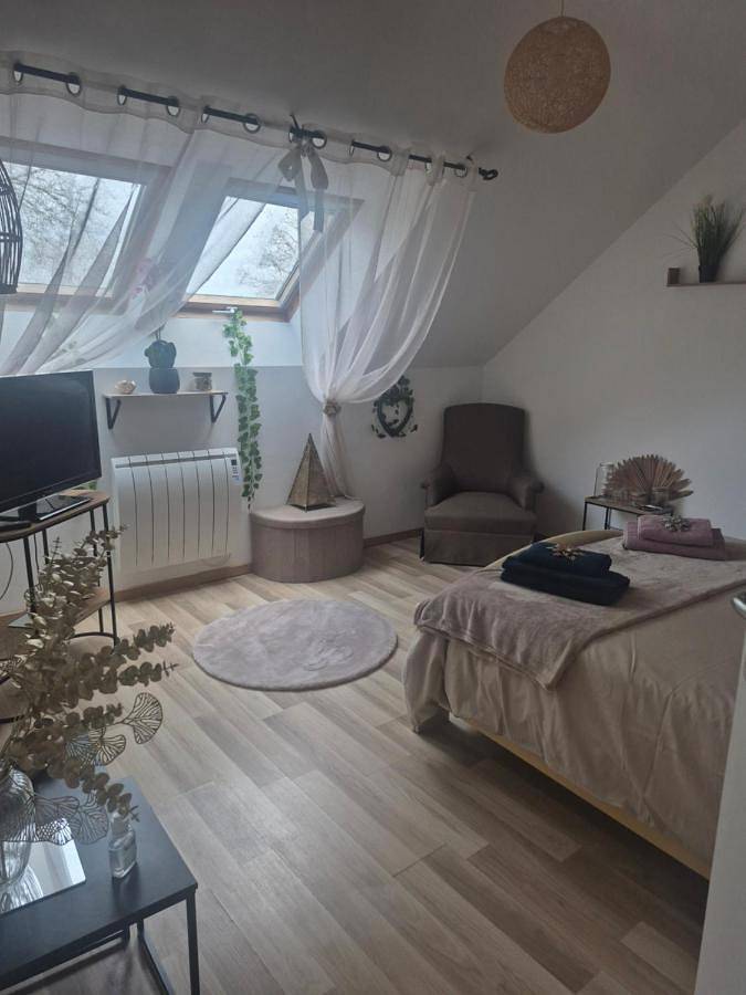 Gîte pour 2 personnes, avec jardin, animaux acceptés dans Maxent - 4
