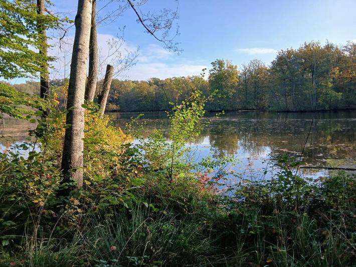Gîte pour 8 personnes, avec jardin à Vrigne-aux-Bois - 4