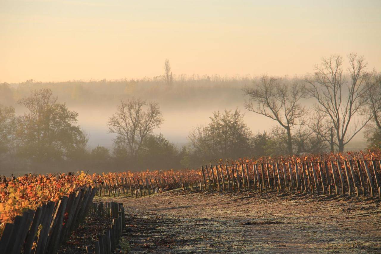Chasse-Spleen Les Chambres in Moulis-en-Médoc, Région de Lesparre-Médoc