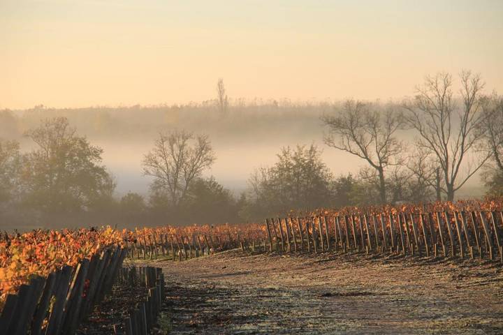 Location de vacances pour 2 personnes, avec jardin et vue à Moulis-en-Médoc - 4