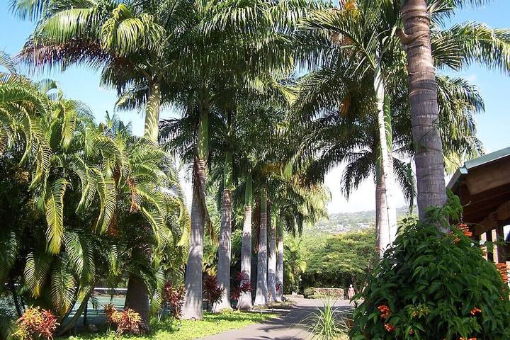 Vacation rental for 18 people, with balcony and pool as well as yard on the Island of Hawaii