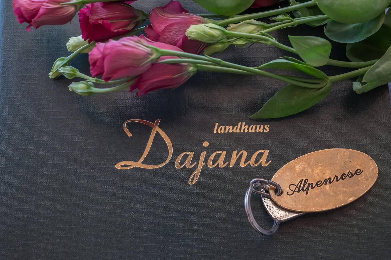 Ganze Ferienwohnung, Apartment Alpenrose in Gaschurn, Gaschurn und Umgebung