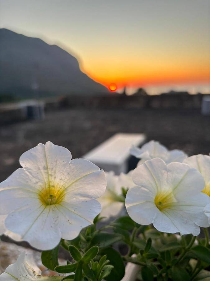 Bed And Breakfast Turi in Castelluzzo, San Vito Lo Capo