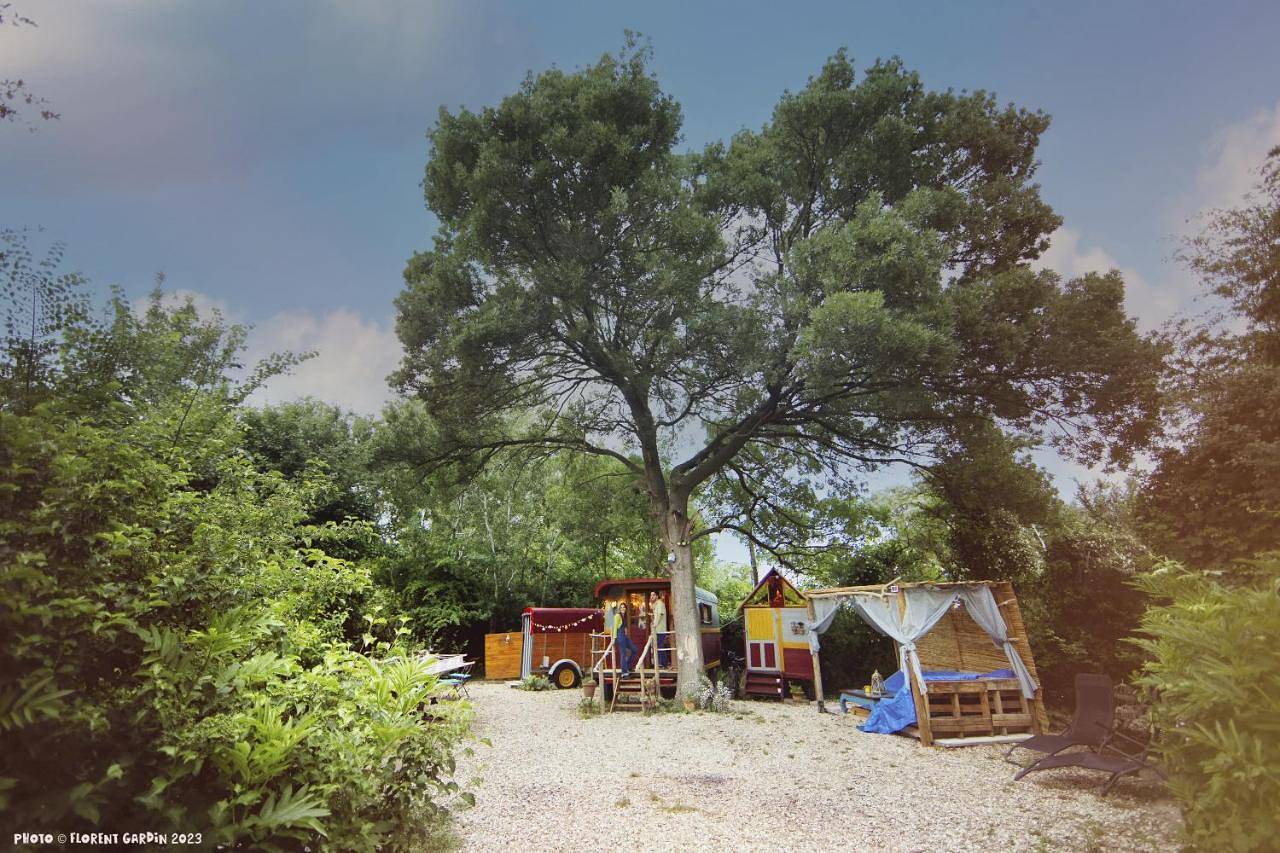 La Roulotte Cavalière, au cœur d'une manade en Camargue in Arles, Côte méditerranéenne (France)