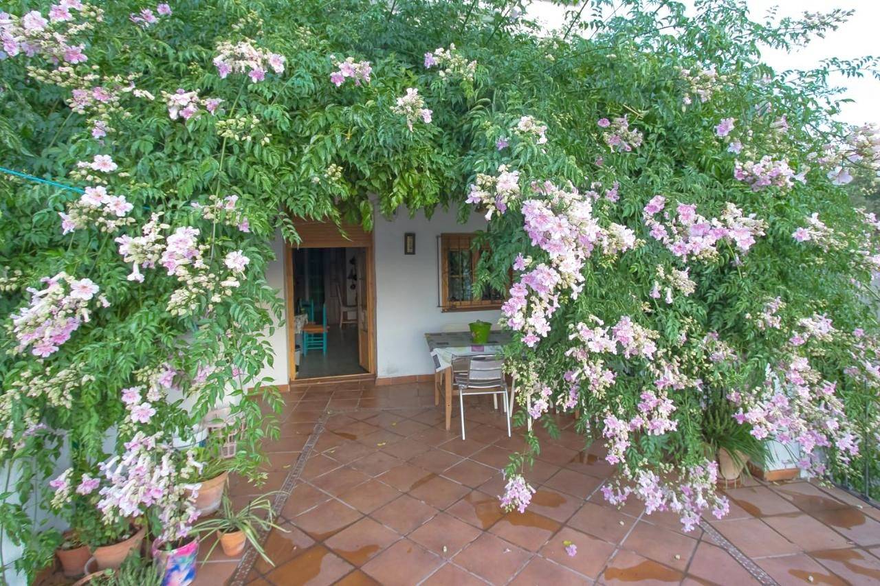 Three-Bedroom House in Los Romeros, Jabugo