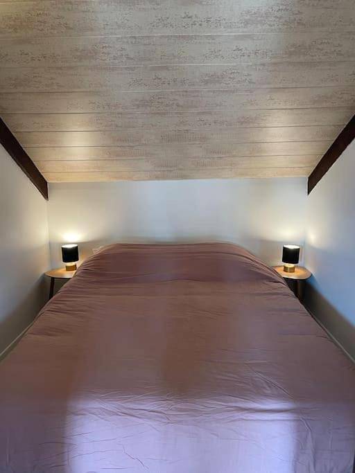 Gîte pour 6 personnes, animaux acceptés à Grand-Fougeray - 3