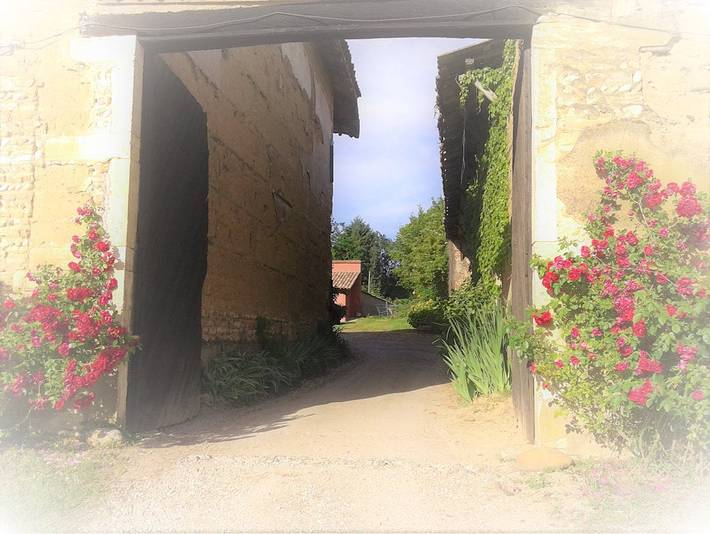 Chambre d’hôte pour 2 personnes, avec jardin dans l' Ain - 4