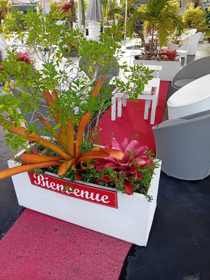 Location de vacances pour 4 personnes, avec terrasse et piscine à Sainte-Rose - 2