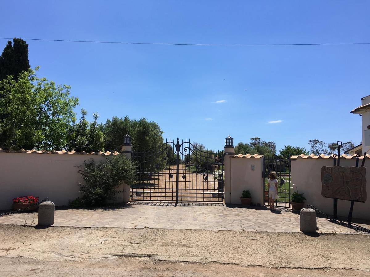 Ganze Wohnung, Villa Olga in Marina Velca, Tarquinia