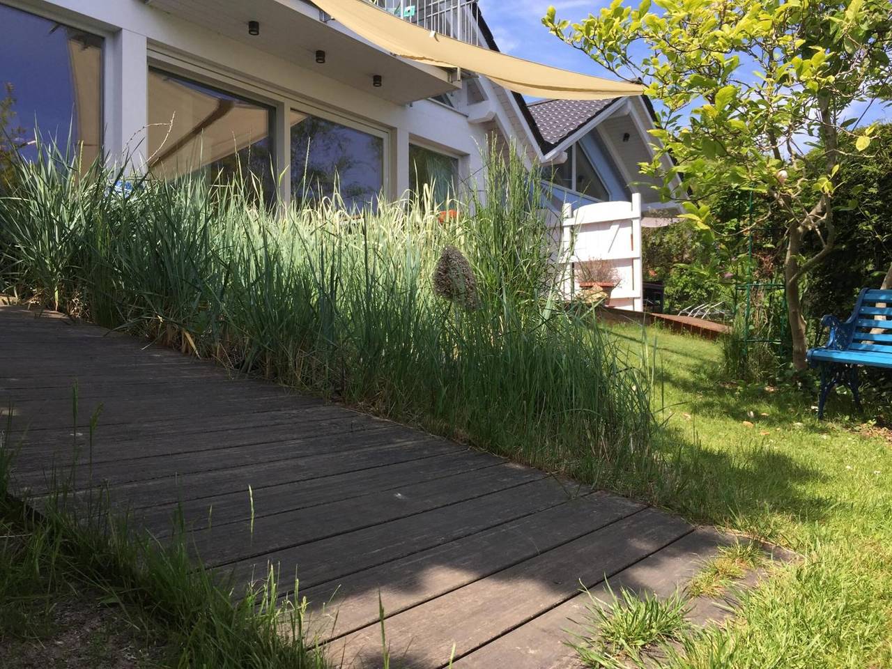 Genießen Sie Ihren Urlaub in Haus Marianne in Breege, Rügen