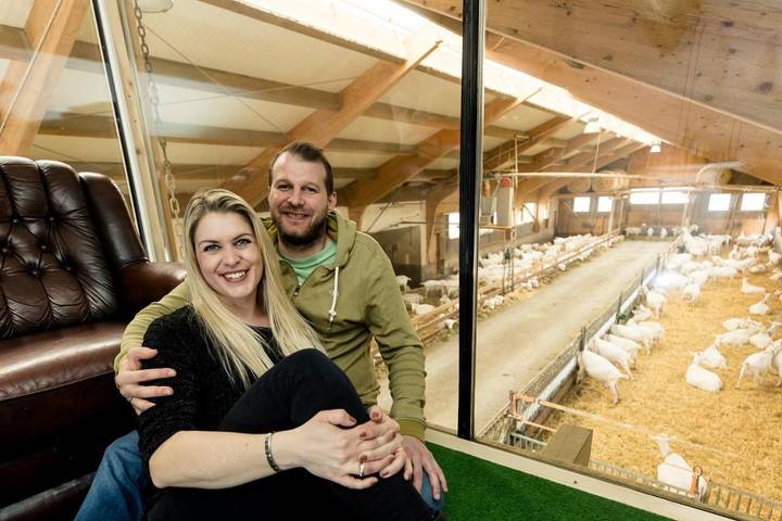 Gîte pour 2 personnes, avec vue et jardin, animaux acceptés à Schlierbach - 4
