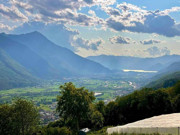 Appartamento vacanze per 4 persone, con vista lago e terrazza nonché panorama, con animali domestici - 1