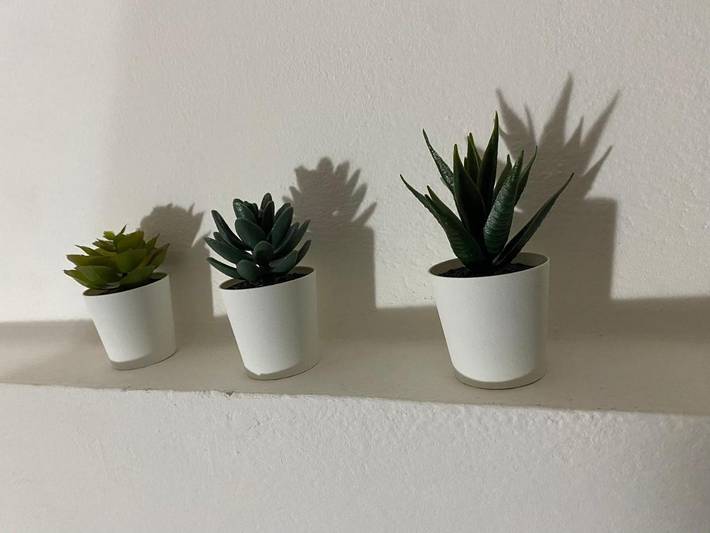 Gîte pour 4 personnes à Imola - 4