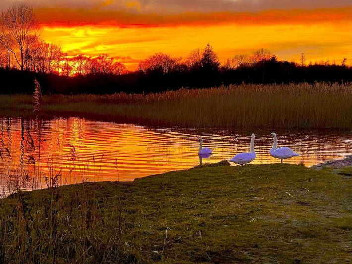 Ferienwohnung für 6 Personen, mit Seeblick und Garten, mit Haustier in Schleswig & Umgebung - 3