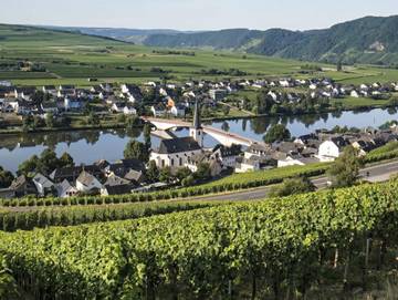 Ferienwohnung für 4 Personen in Piesport, Moseleifel, Bild 1