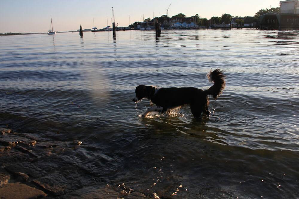Schmuckes Feriendomizil an der Schlei – Ihre kleine Villa zum Wohlfühlen in Rieseby, Ostsee Schleswig-Holstein