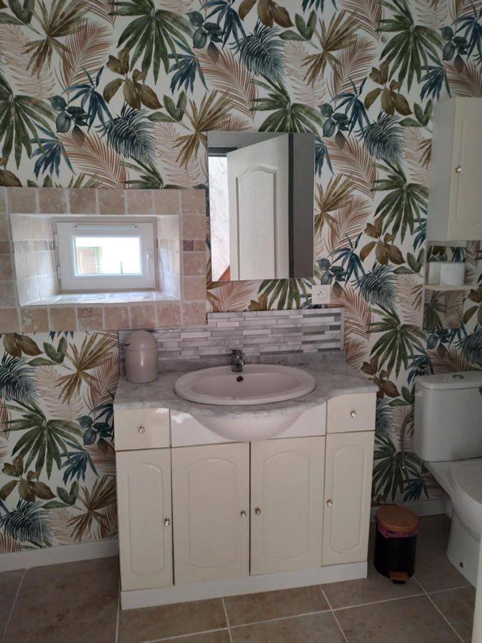 Gîte pour 4 personnes, avec terrasse et jardin à Fléac-sur-Seugne - 4