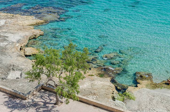 Gîte pour 4 personnes, avec balcon et vue sur l’océan dans Can Picafort - 3