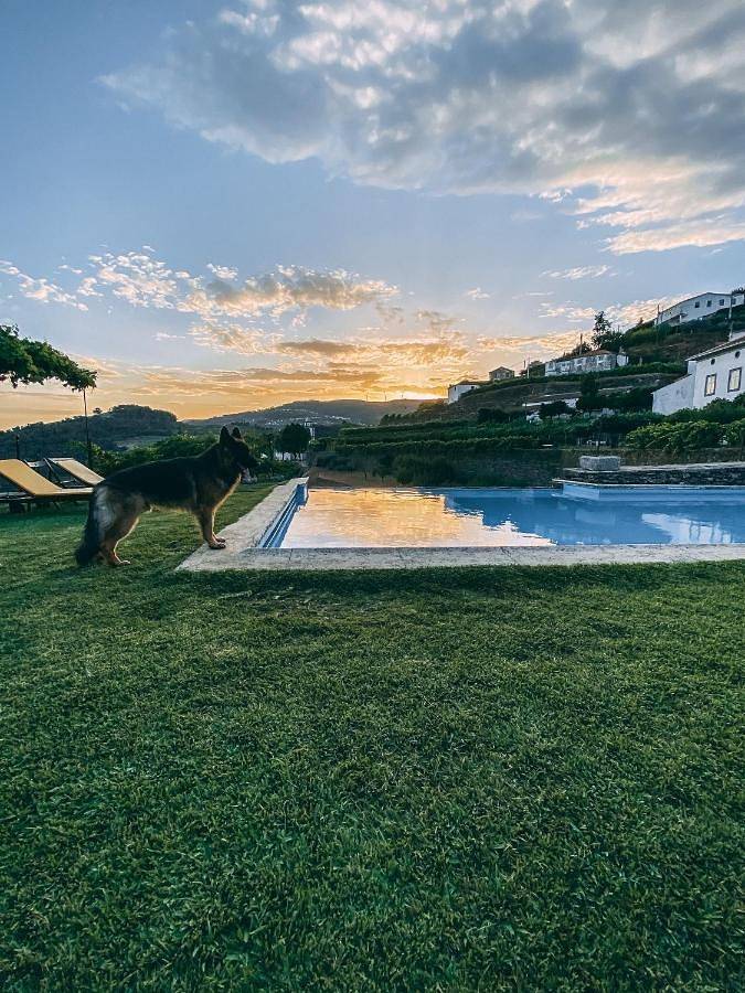 Location de vacances pour 2 personnes, avec piscine et jardin dans Mesão Frio - 3