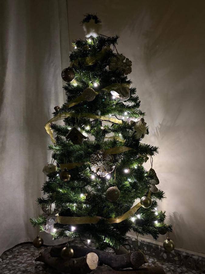 Location de vacances pour 6 personnes, avec jardin et piscine à Tabernas - 3