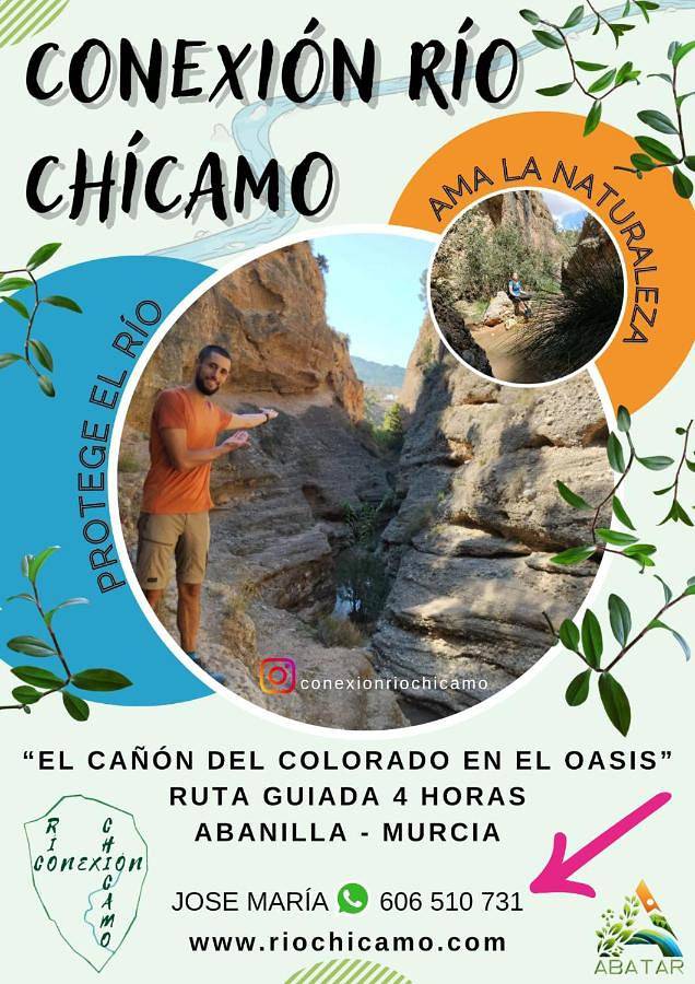 Location de vacances pour 4 personnes, avec jardin et jacuzzi à Fortuna - 2