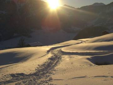 Bauernhof für 7 Personen in Au, Vorarlberg, Bild 1