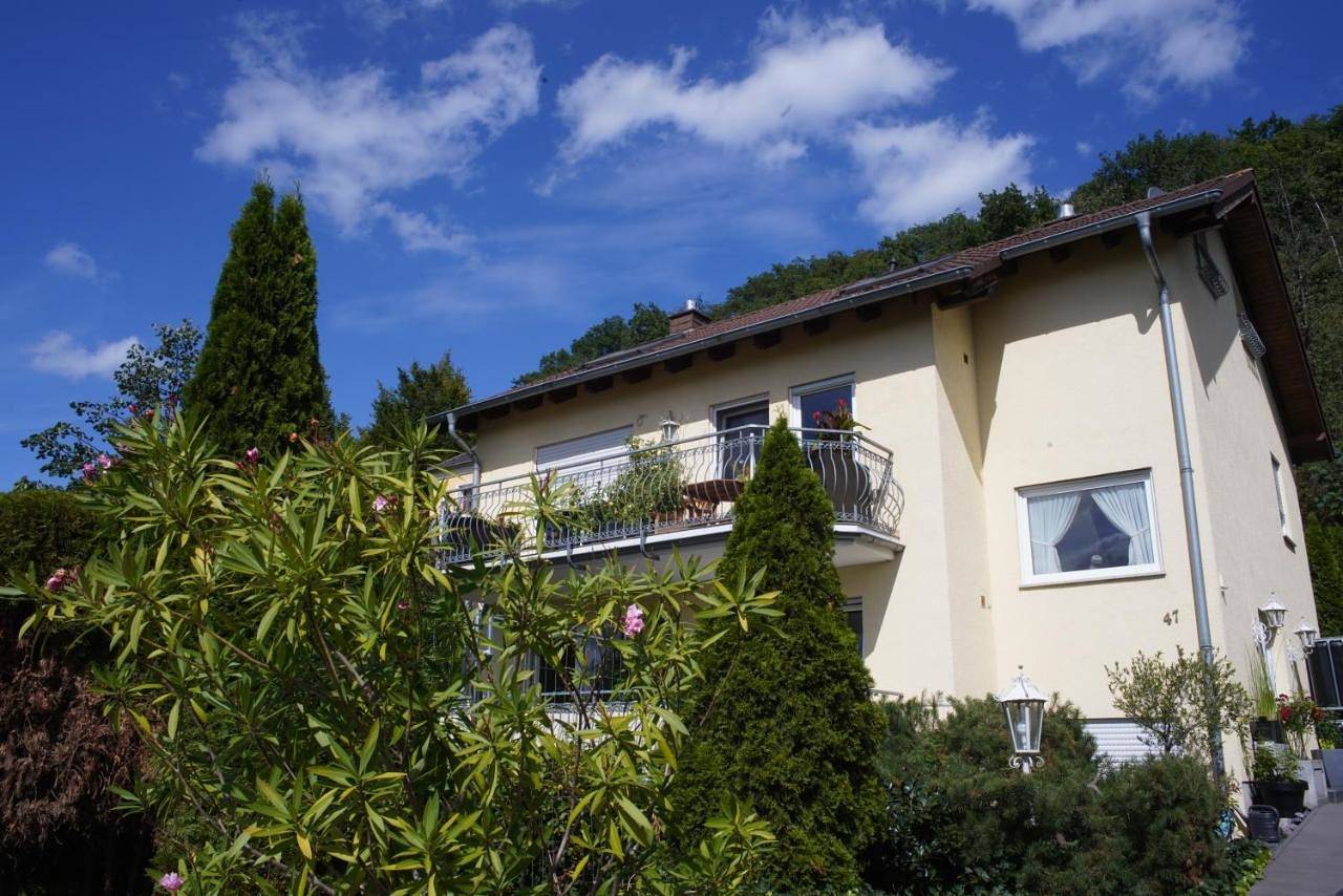 Ganze Wohnung, Apartment with Mountain View in Sinzig, Ahrtal