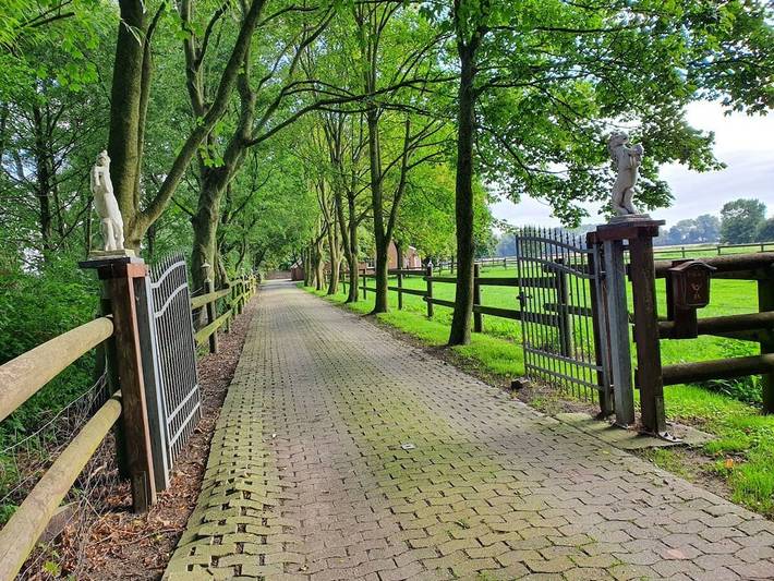 Ferienhaus für 5 Personen, mit Terrasse in Norden - 4