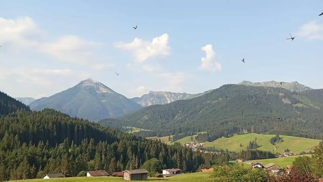 Ganze Ferienwohnung, Ferienwohnung für 6 Personen (75 m²) in Achenkirch in Achenkirch, Brandenberger Alpen