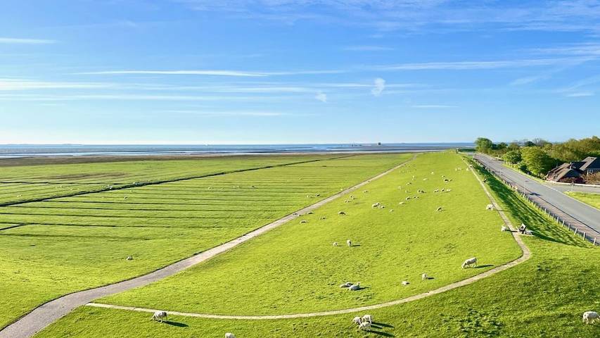 Ferienhaus für 4 Personen, mit Sauna in Pellworm - 3