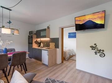 Appartement voor 3 Personen in Hopfgarten im Brixental, Hohe Salve, Afbeelding 4