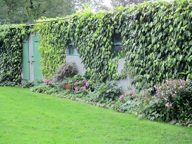 Ganze Ferienwohnung, Ferienwohnung Nissen-Freundt - Ferienwohnung Nissen-Freundt-2-Räume - 01 in Koldenbüttel, Eider-Treene-Sorge
