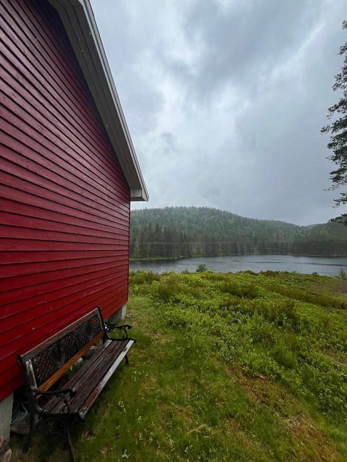 Ferienhaus für 4 Personen, mit Ausblick, mit Haustier - 1