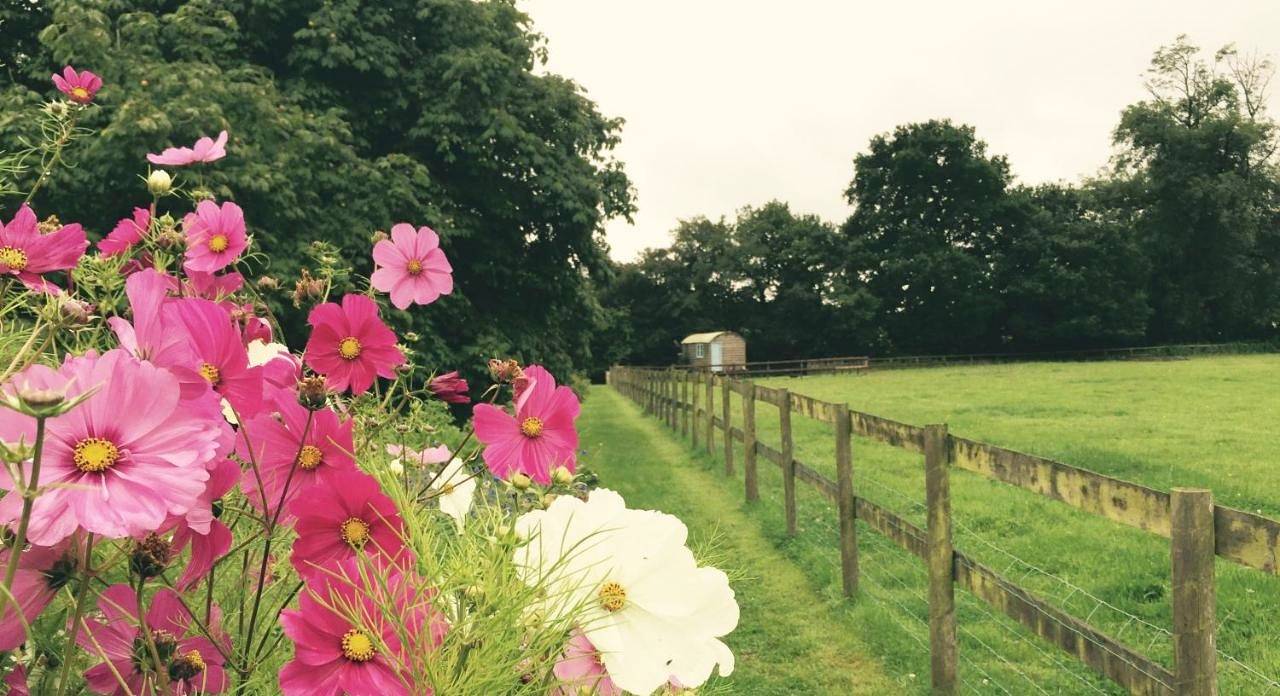Bungalow with Private External Bathroom in Trudoxhill, Somerset
